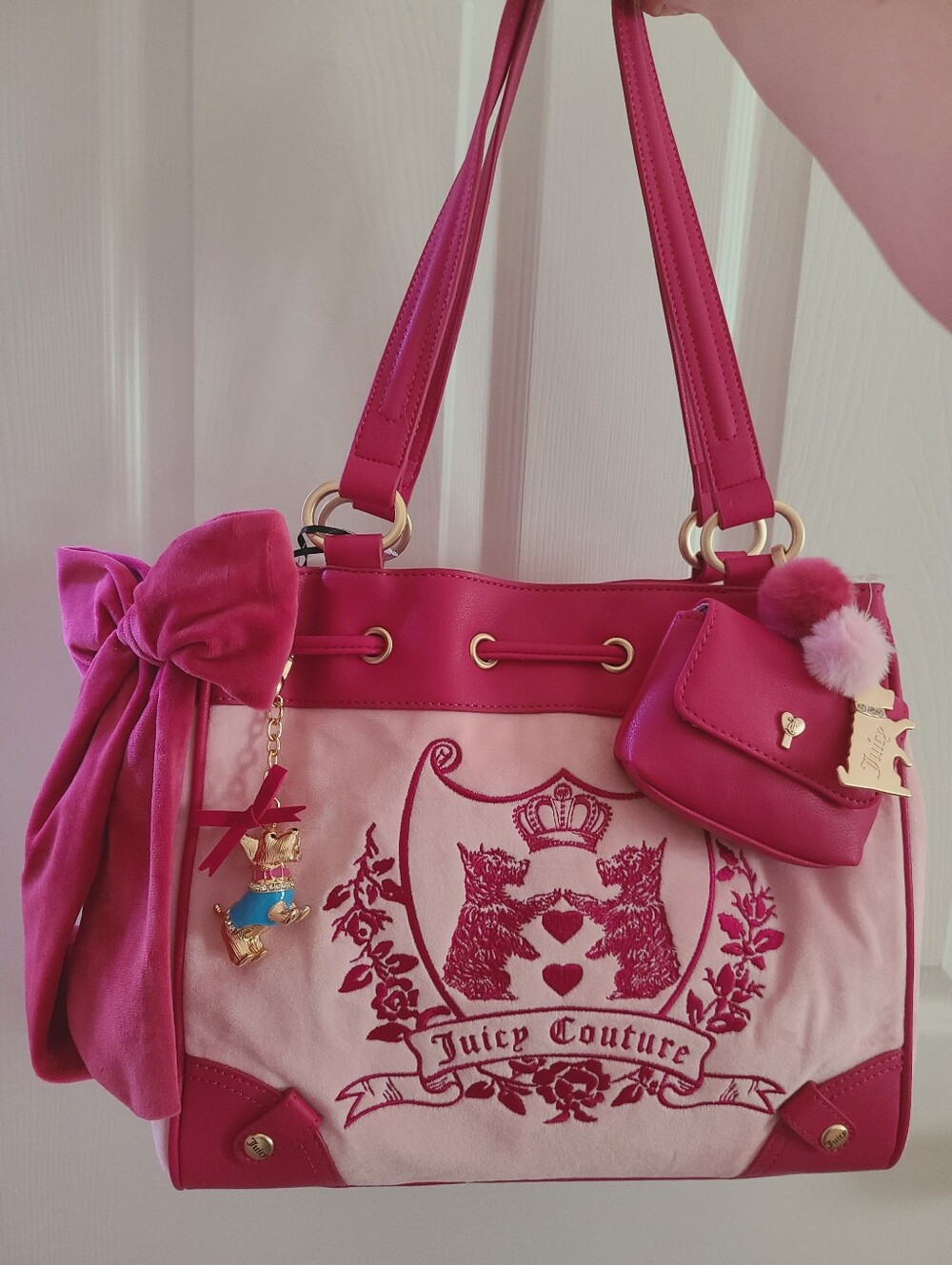 Juicy Couture Bag 🎀
